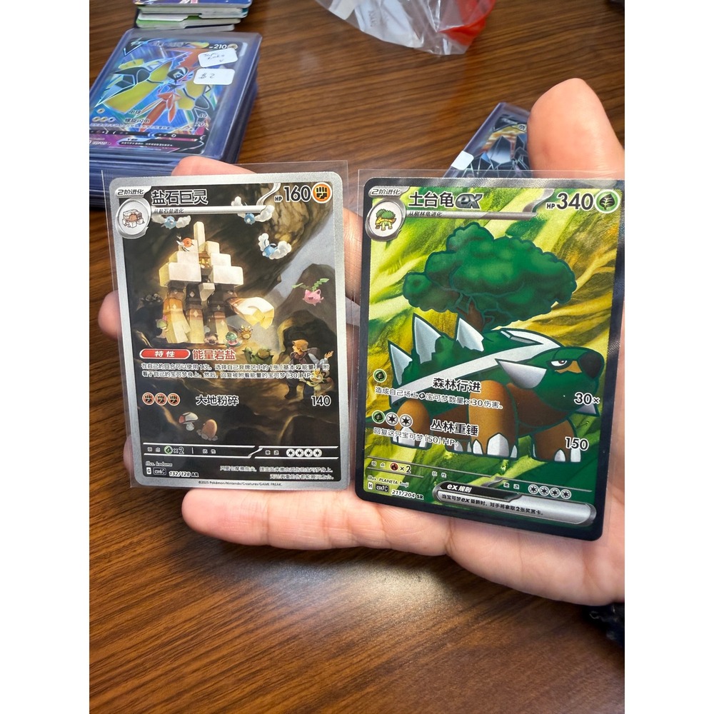 Pokemon TCG Chinese Torterra ex SAR 211/204 Garganacl AR 132/128 Bundle